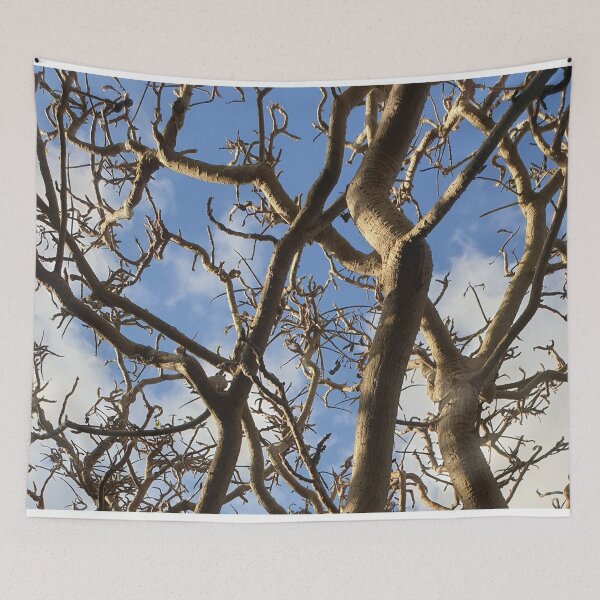Item preview, Tree Branches with Blue Sky in Background designed and sold by Bennymp.