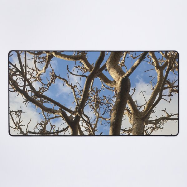 Item preview, Tree Branches with Blue Sky in Background designed and sold by Bennymp.