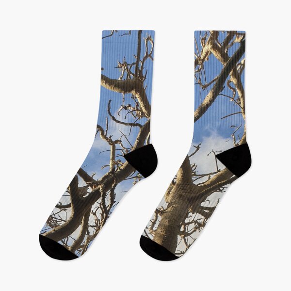 Item preview, Tree Branches with Blue Sky in Background designed and sold by Bennymp.