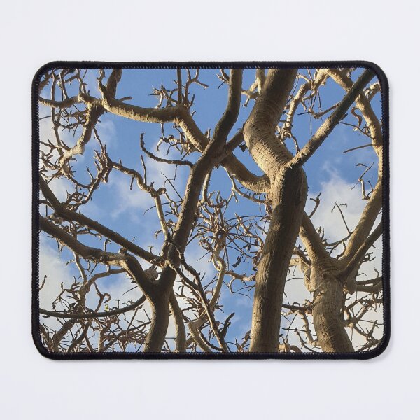 Item preview, Tree Branches with Blue Sky in Background designed and sold by Bennymp.