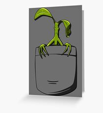 In Pocket Greeting Card