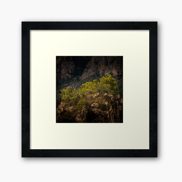 Item preview, Tree covered outcrop designed and sold by Ralph Goldsmith.