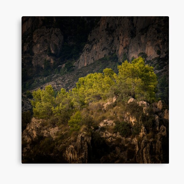 Item preview, Tree covered outcrop designed and sold by Ralph Goldsmith.