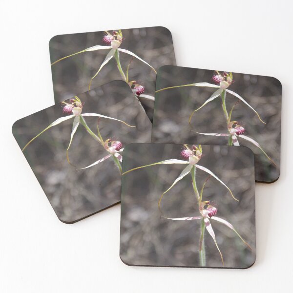 Item preview, Pink Spider Orchid - Caladenia harringtoniae designed and sold by lezvee.