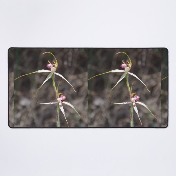 Item preview, Pink Spider Orchid - Caladenia harringtoniae designed and sold by lezvee.