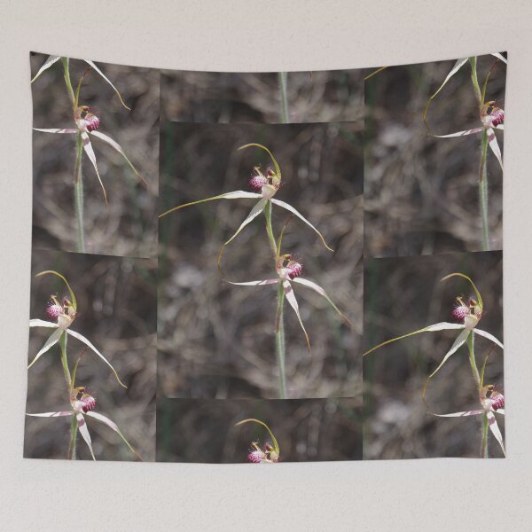 Item preview, Pink Spider Orchid - Caladenia harringtoniae designed and sold by lezvee.
