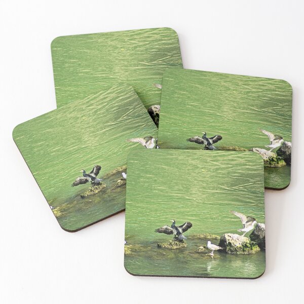 Item preview, Cormorant and Seagulls on River Stones designed and sold by Anna Lemos.