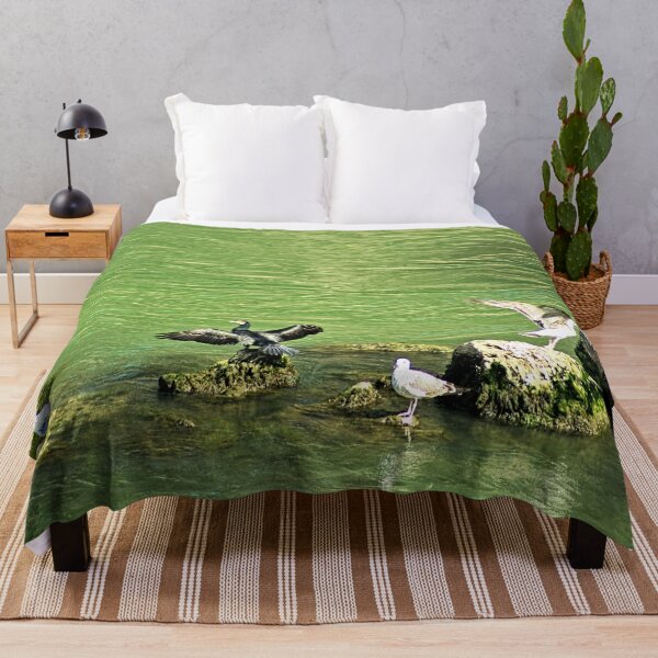 Item preview, Cormorant and Seagulls on River Stones designed and sold by Anna Lemos.