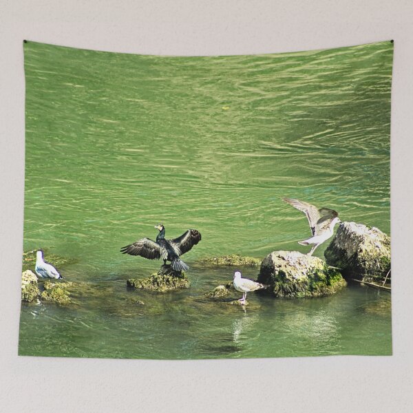 Item preview, Cormorant and Seagulls on River Stones designed and sold by Anna Lemos.