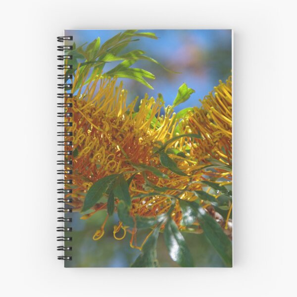 Item preview, Grevillea robusta designed and sold by lezvee.