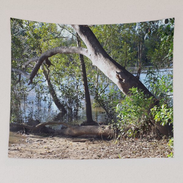 Item preview, Mangroves designed and sold by W E NIXON  PHOTOGRAPHY.