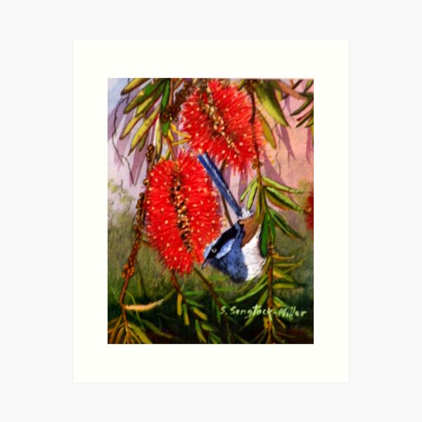 Item preview, Blue Wren  "Wren's Chatter"  SOLD Brisbane designed and sold by sandysartstudio.