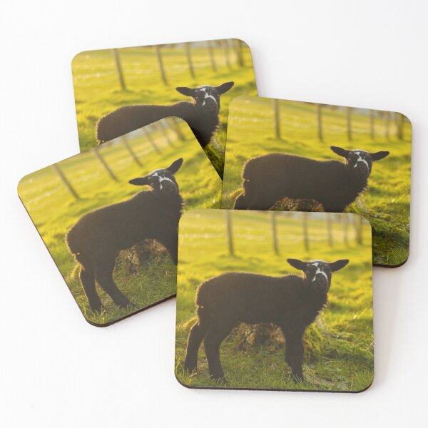 Item preview, Bridget's First Day Out designed and sold by thegreendogs.