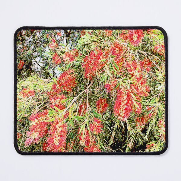THE BIG RED BOTTLEBRUSH BUSH Mouse Pad
