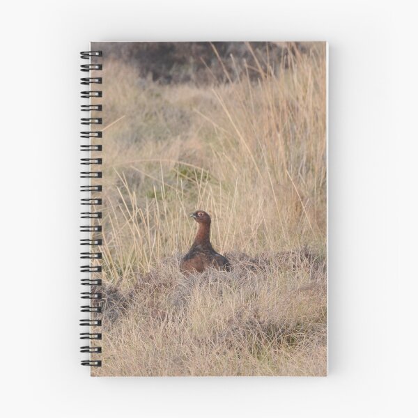 Item preview, Grouse designed and sold by Malcolm Snook.