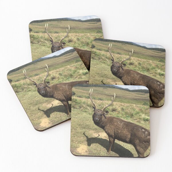 Item preview, A Beautiful Sambar Deer in Horton Plains Sri Lanka  designed and sold by Mahee01.
