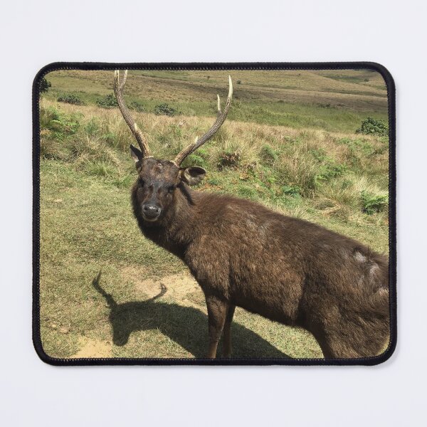 Item preview, A Beautiful Sambar Deer in Horton Plains Sri Lanka designed and sold by Mahee01.