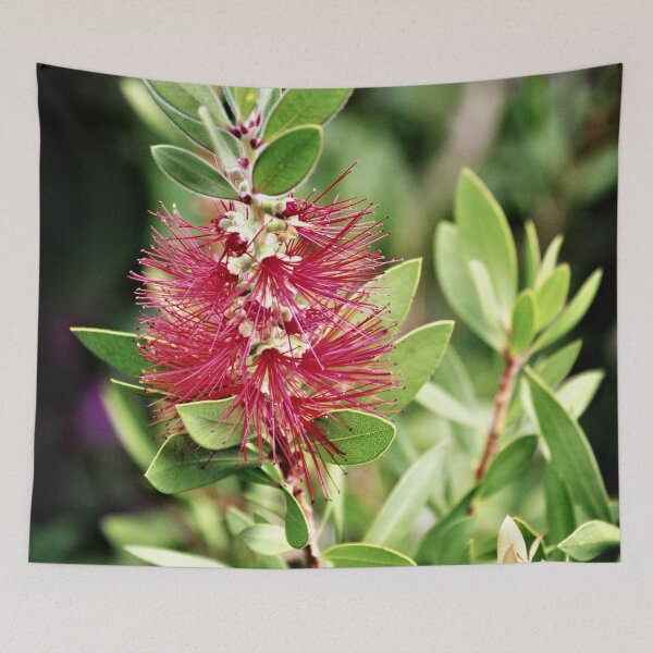 Item preview, Bottlebrush designed and sold by Martin Pot.