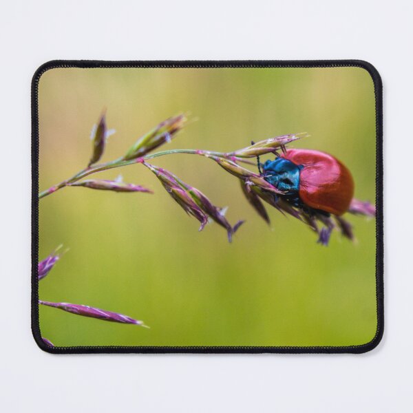 Item preview, Life designed and sold by SzendeB.
