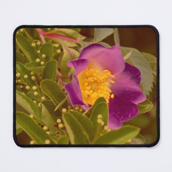 Item preview, Wild Rose designed and sold by Artskratch.