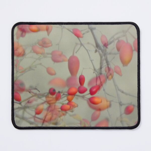 Item preview, Cinorrodo designed and sold by Artskratch.