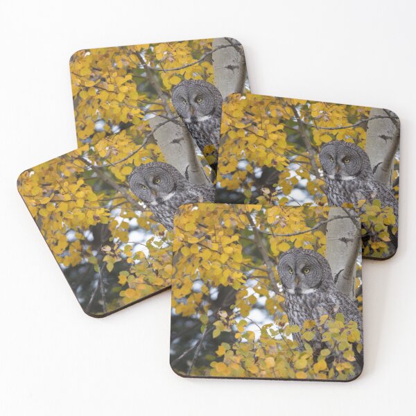 Item preview, Great Gray perched in the Aspen designed and sold by Rob Lavoie.