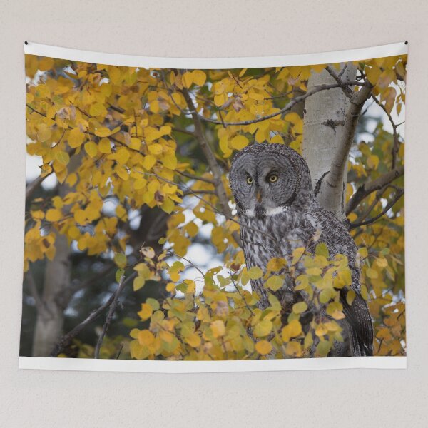 Item preview, Great Gray perched in the Aspen designed and sold by Rob Lavoie.