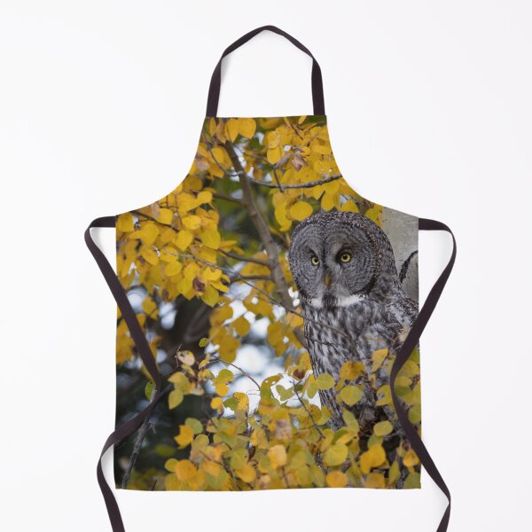 Item preview, Great Gray perched in the Aspen designed and sold by Rob Lavoie.