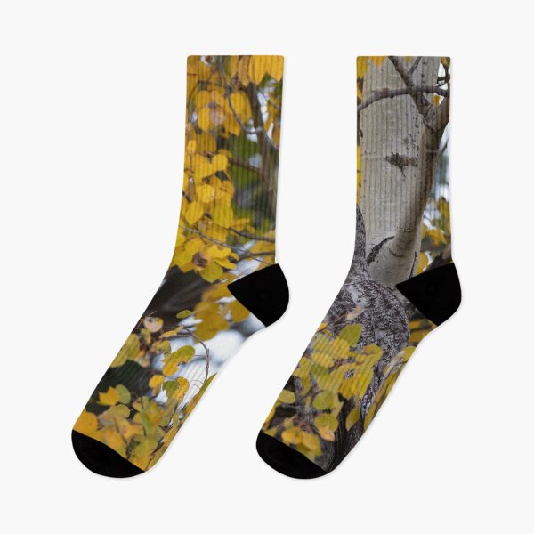 Item preview, Great Gray perched in the Aspen designed and sold by Rob Lavoie.