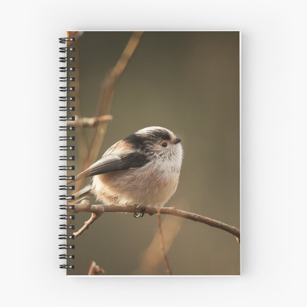 Item preview, Long Tailed Tit designed and sold by Sue Dudley.