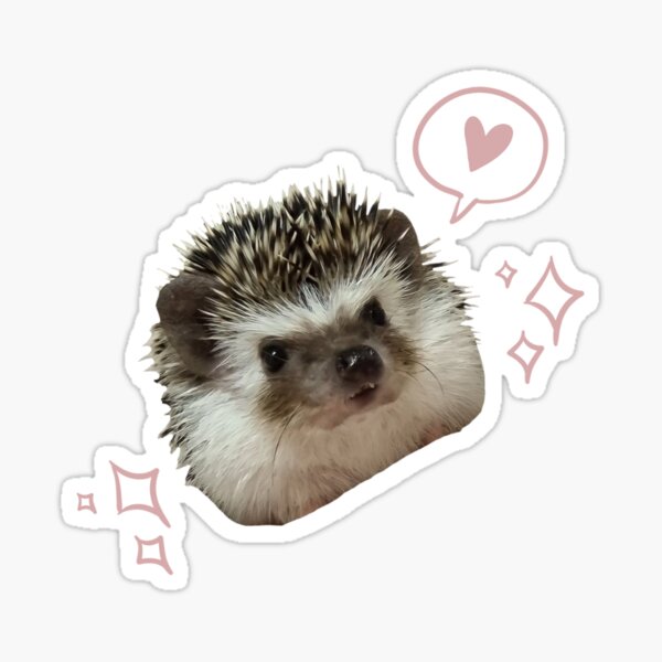 Odi the hedgehog of Soobin from TXT Sticker