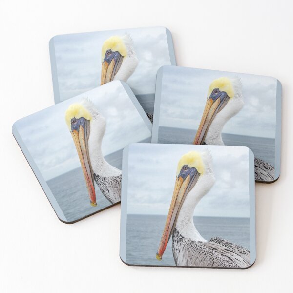 Item preview, Oceanside Pelican Poster designed and sold by Kgphotographics.