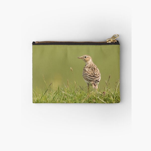 Item preview, Skylark designed and sold by Sue Dudley.