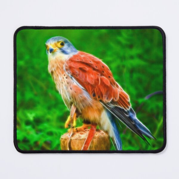 Item preview, Kestrel designed and sold by FOLK ART FUSION by heidiannemorris.