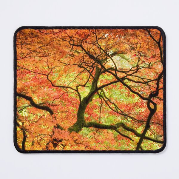 Item preview, Autumn Closing In by heidiannemorris ©️  designed and sold by FOLK ART FUSION by heidiannemorris.