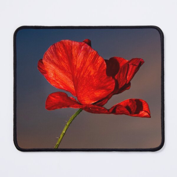 Item preview, Always remember designed and sold by FOLK ART FUSION.