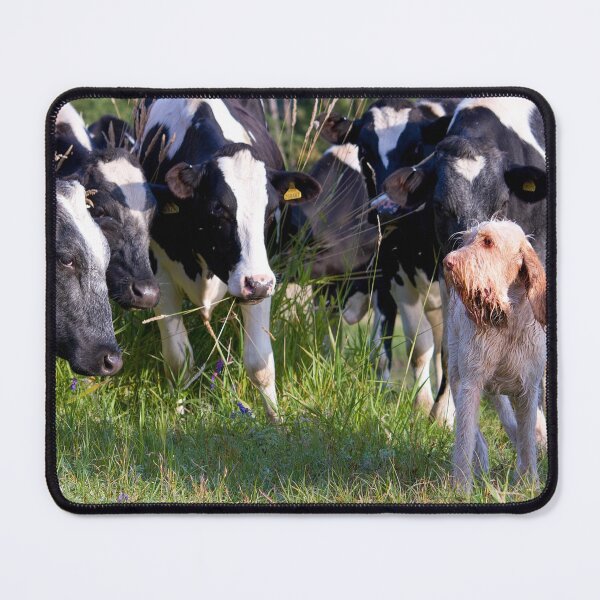 Item preview, Spinone Udder Investigation designed and sold by FOLK ART FUSION by heidiannemorris.