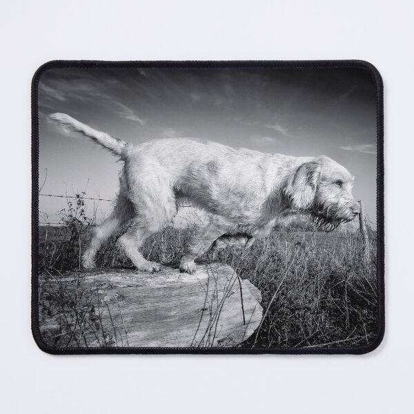 Item preview, Into the Wind Spinone by heidiannemorris designed and sold by FOLK ART FUSION by heidiannemorris.