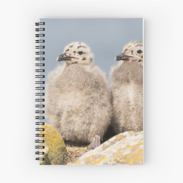 Item preview, Great Black Backed Gull Chicks designed and sold by Sue Dudley.
