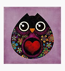 Owl's Hatch Photographic Print