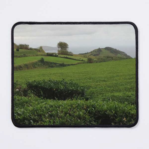 Item preview, Nature, Landscape, Tea Plantation, Europe, Portugal, Azores, Photography, BebiCervin designed and sold by BebiCervin.