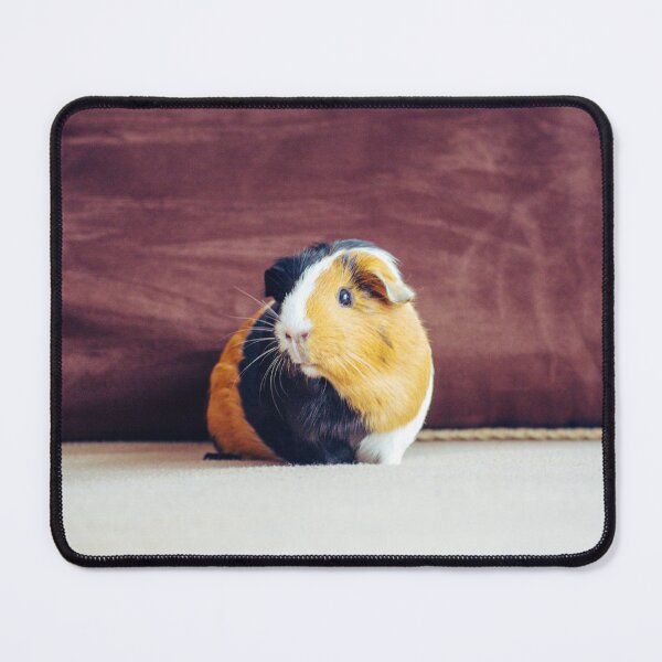 Item preview, Guinea pig designed and sold by SzendeB.
