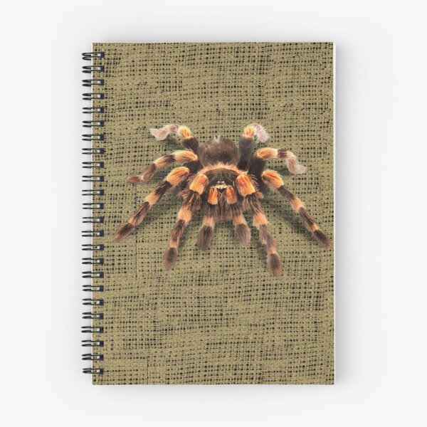 Item preview, TARANTULA, MEXICAN RED KNEE TARANTULA designed and sold by Danicus666.