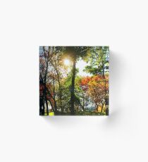 Fall landscape Acrylic Block