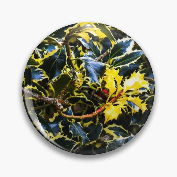 Item preview, Argentea Marginata designed and sold by SzendeB.