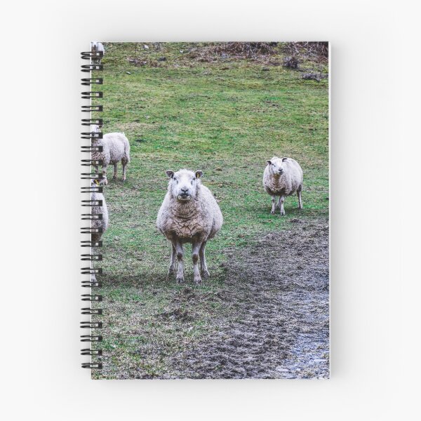 Item preview, Flock to the field designed and sold by SzendeB.