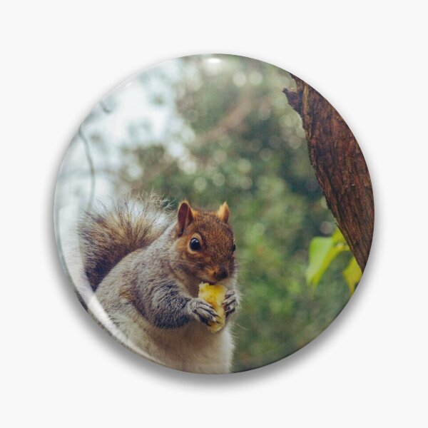 Item preview, Bushy tailed squirrel designed and sold by SzendeB.