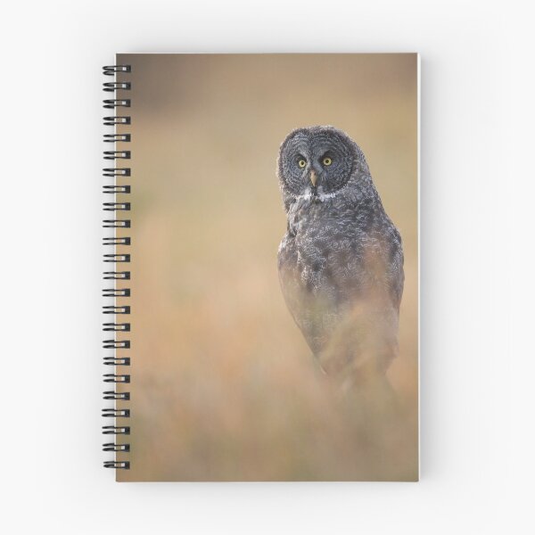 Item preview, Great Gray F2.8 Bokeh designed and sold by Rob Lavoie.