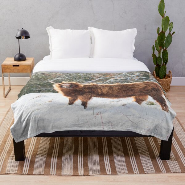 Item preview,  Funny Highland cow in the snow designed and sold by HaleyRedshaw.