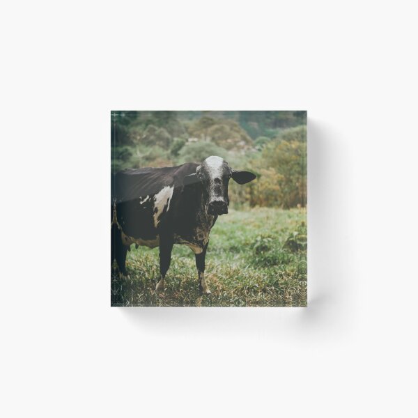 Item preview, Cow Portrait designed and sold by anafrancisconi.
